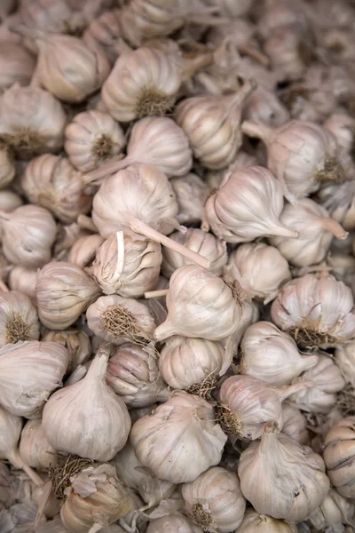 Frischer Knoblauch auf dem Markt — Stockfoto