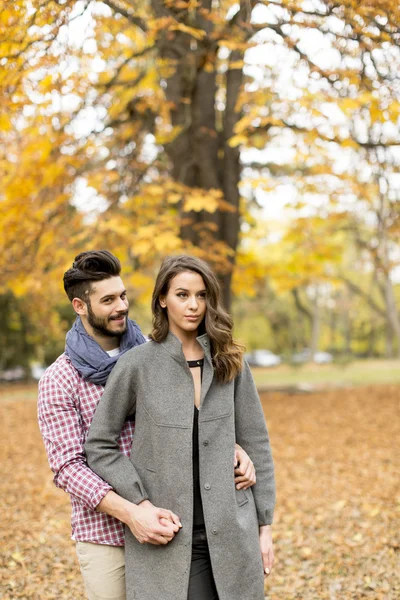 Jovem casal no parque — Fotografia de Stock