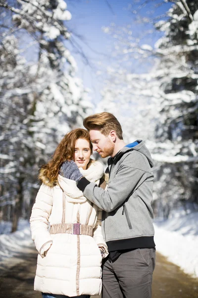 Casal na floresta de inverno — Fotografia de Stock