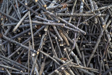 Açık havada günlükleri stoklarını