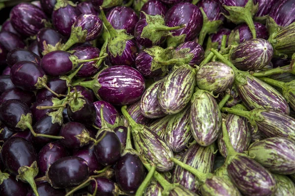 Eggplants on the market in Mumbai — Stock Photo, Image
