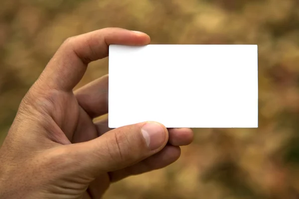 Hand holding blank card — Stock Photo, Image