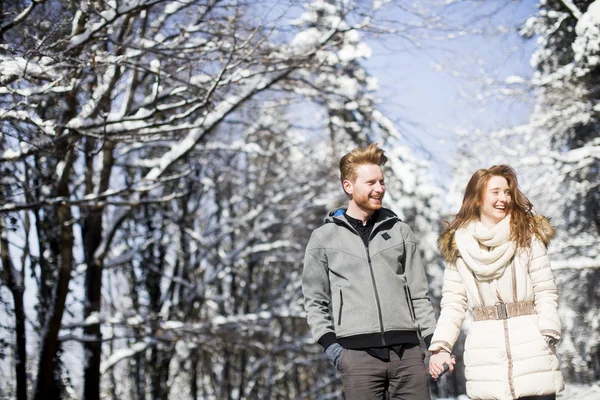Couple at winter forest — Stock Photo, Image