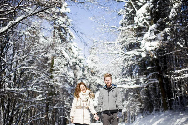 Couple at winter forest — Stock Photo, Image