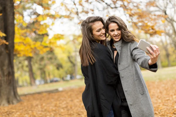 Bonitas mujeres jóvenes — Foto de Stock