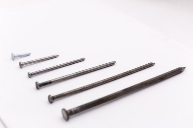 Beyaz vidayı kümesi