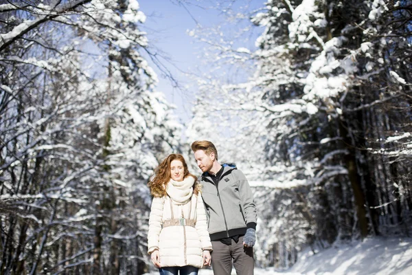 Couple at winter forest — Stock Photo, Image