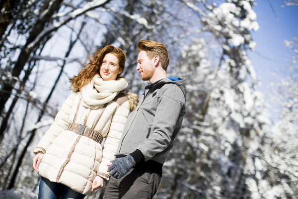 Couple at winter forest — Stock Photo, Image