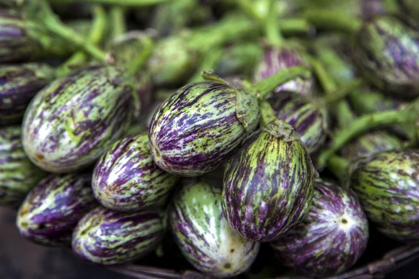 Eggplants on the market in Mumbai — Stock Photo, Image