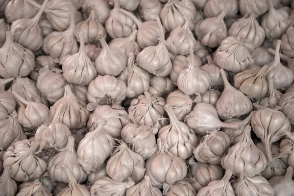 Alho fresco no mercado — Fotografia de Stock