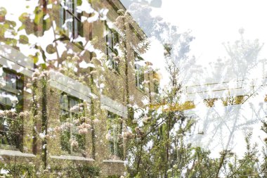 Çift pozlama fotoğraf