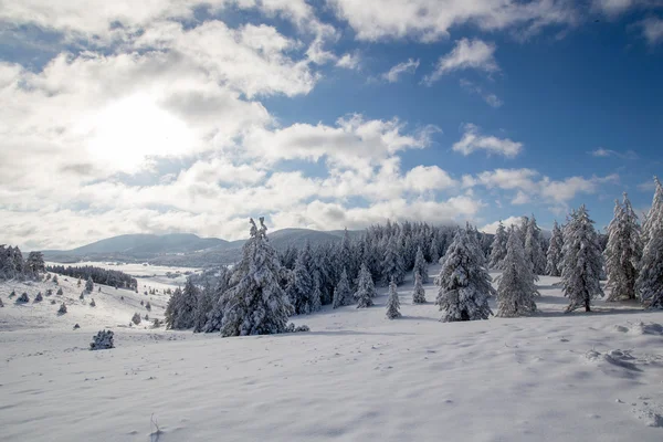 아름 다운 겨울 풍경 — 스톡 사진