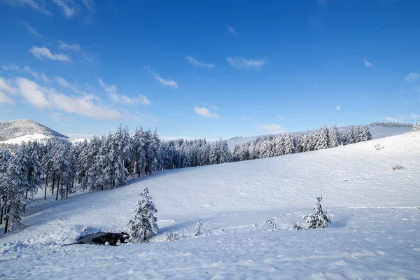 Invierno hermoso paisaje — Foto de Stock