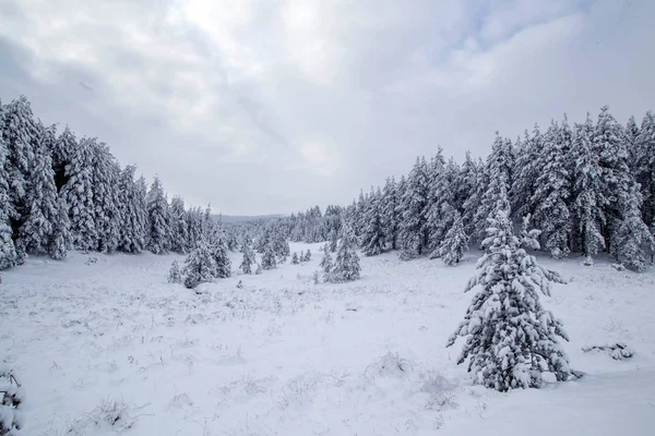 Vinter vackert landskap — Stockfoto