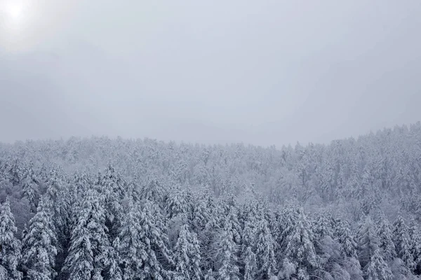 Winter prachtige landschap — Stockfoto