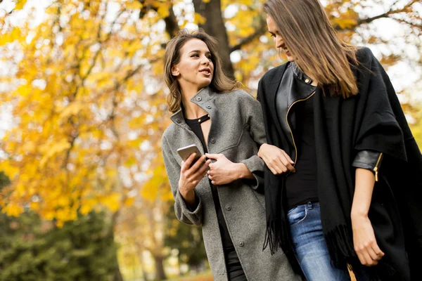 Belle giovani donne — Foto Stock