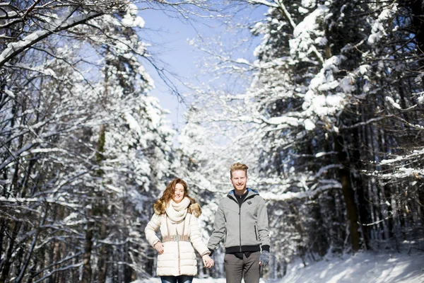 Couple at winter forest — Stock Photo, Image