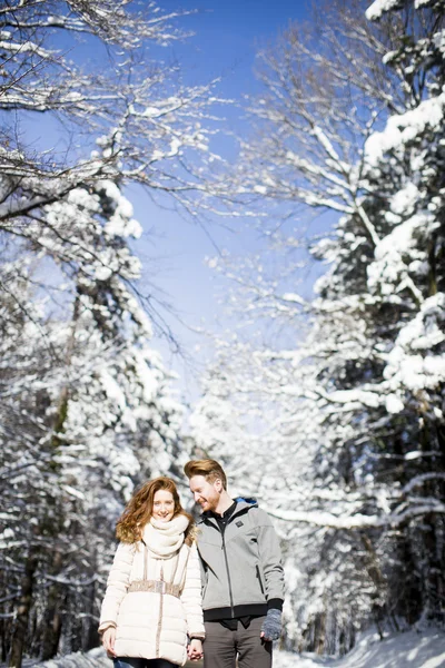 冬の森でのカップル — ストック写真