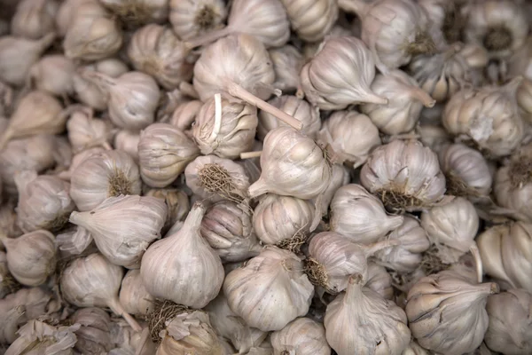 Ajo fresco en el mercado —  Fotos de Stock