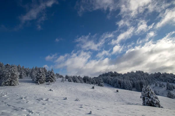 冬の美しい風景 — ストック写真