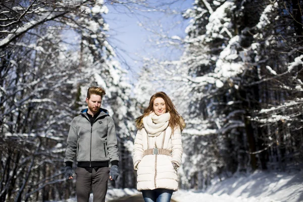 Casal na floresta de inverno — Fotografia de Stock