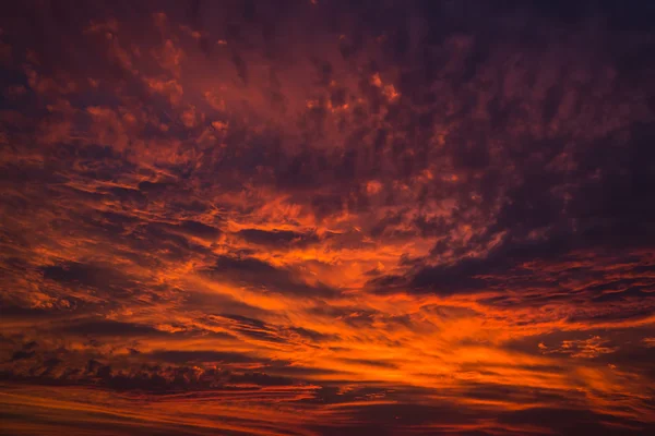 붉은 하늘 보기 — 스톡 사진