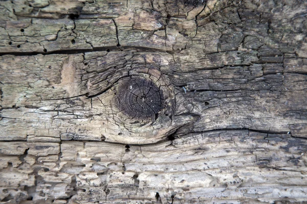 Brunt trä textur — Stockfoto