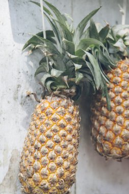 Piyasada taze ananas