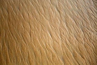 Kum dalgaların closeup