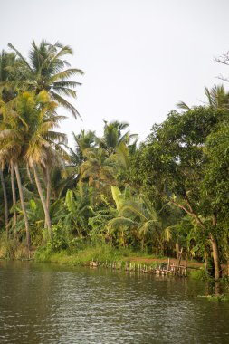 önemsizden Kerala, Hindistan.