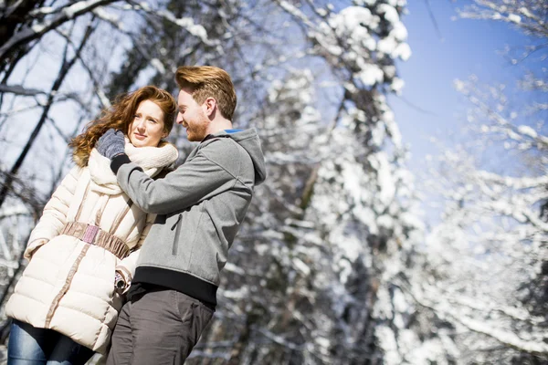 Casal na floresta de inverno — Fotografia de Stock