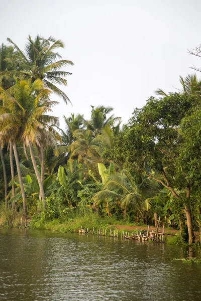 Захолустья Кералы . — стоковое фото