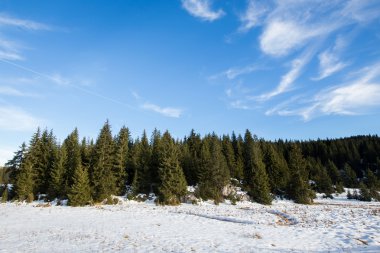Kış güzel manzara