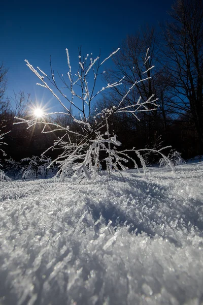 Inverno bellissimo paesaggio — Foto Stock