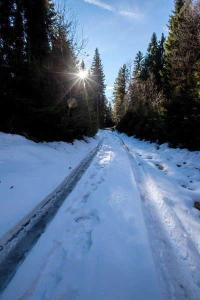 Invierno hermoso paisaje —  Fotos de Stock