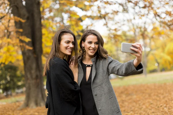 Pretty young women — Stock Photo, Image