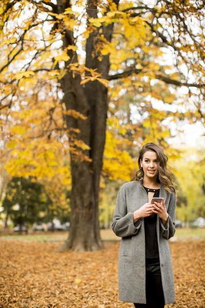 Donna nel parco autunnale — Foto Stock