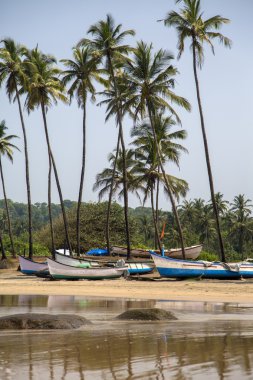 Plaj Anjuna, Hindistan