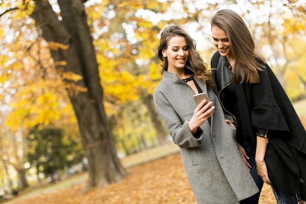 Pretty young women — Stock Photo, Image