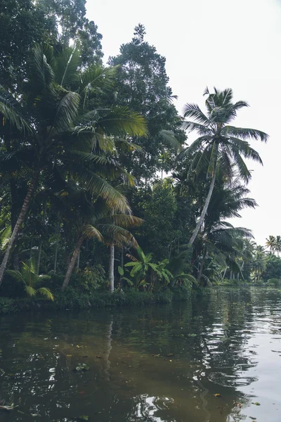 Stojaté vody v kerala, Indie. — Stock fotografie