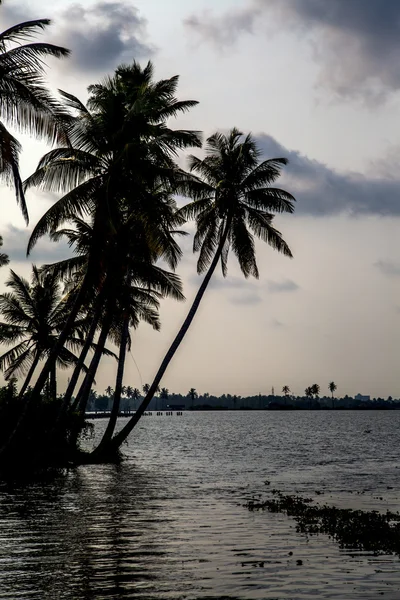 Backwaters in Kerala, India. — Stock Photo, Image