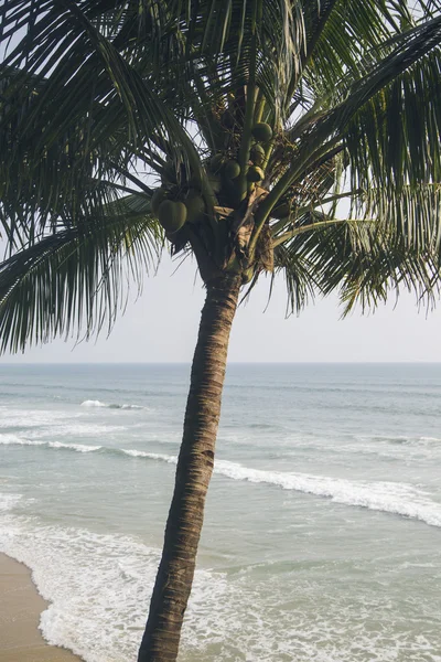 インドでバルカラ ビーチ — ストック写真
