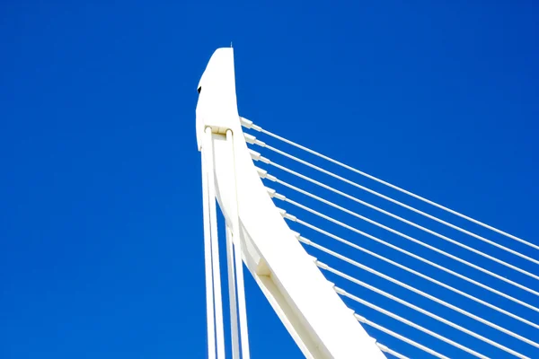 Stad van Kunsten en Wetenschappen in Valencia — Stockfoto