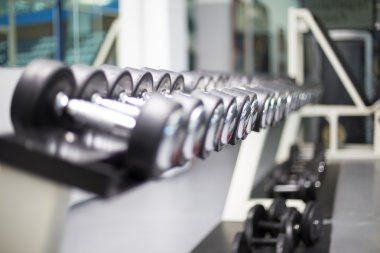 Spor salonu dumbbells görünümü