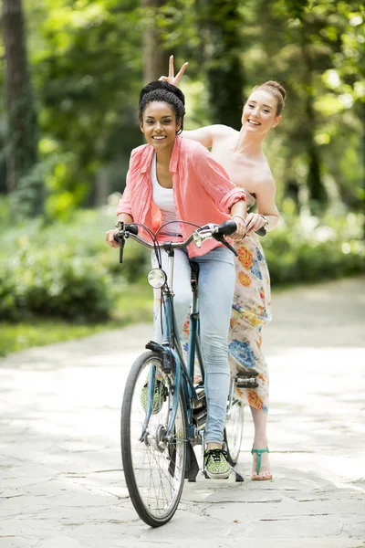 Nuoret naiset polkupyörän kanssa — kuvapankkivalokuva