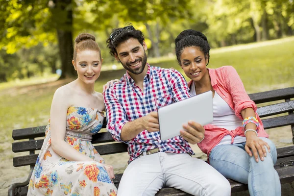 Friends on the bench in park — Stock Photo, Image