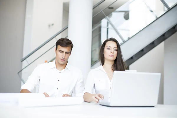 Junge Leute im Büro — Stockfoto