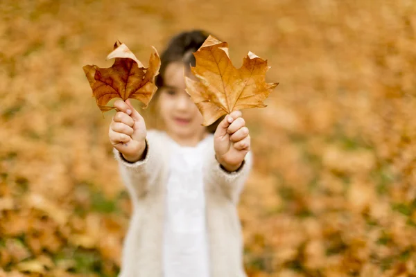 Menina segurando folhas — Fotografia de Stock