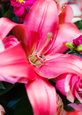 Kırmızı lily ve alyans