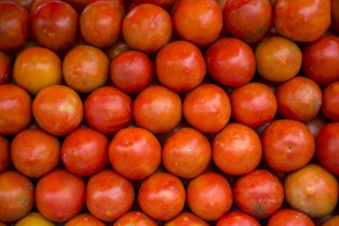 Piyasada taze domates